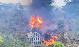 Đà Lạt: Đốt cỏ trong vườn làm cháy lan hơn 1.000m2