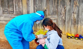 Ca mắc COVID-19 ở Lâm Đồng tăng vọt sau Tết, hơn 1.380 học sinh là F0 