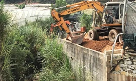 Đà Lạt cưỡng chế, tháo dỡ kè ta luy không phép lấn suối Cam Ly