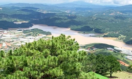 Tạm dừng bổ nhiệm, luân chuyển lãnh đạo 5 huyện, thành phố ở Lâm Đồng