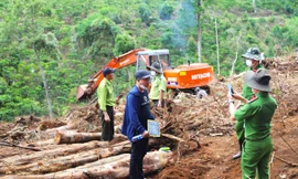 Khám nghiệm hiện trường vụ triệt hạ hàng chục nghìn m2 rừng bằng cưa xăng, xe cơ giới 