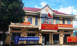 Để xây bờ kè ta luy không phép, một chủ tịch phường ở Lâm Đồng bị đình chỉ công tác