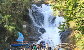 Nhiều khuyến mãi cho du khách trong tuần lễ vàng du lịch Lâm Đồng 2022