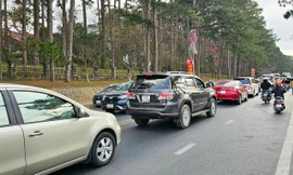 Hết Tết, Đà Lạt vẫn tấp nập du khách 