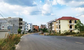 Kiến nghị xử lý các cá nhân liên quan sai phạm của dự án 273 tỷ đồng