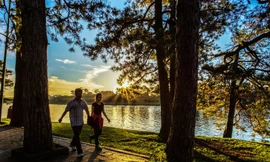 Mở thêm phố đi bộ sau phản ánh 'đêm Đà Lạt quá buồn'