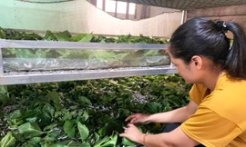 Huyện nghèo nhất tỉnh Lâm Đồng với chương trình giảm nghèo bền vững