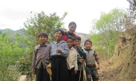 'Chim én' đi để lớn