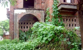 Cỏ dại tấn công biệt thự bạc tỷ