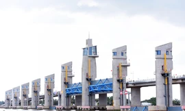 Dấu ấn Trung Nam E&C trên công trình thuỷ lợi trọng điểm quốc gia Cái Lớn – Cái Bé