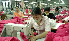 Mỗi ngày, TPHCM thu về ngân sách 2.900 tỷ đồng