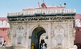 Thăm ngôi đền thờ… chuột