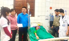 Mua thuốc trên mạng về chữa viêm mũi, người phụ nữ suy gan, suy tủy xương