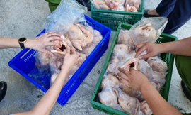 Phát hiện xe tải chở 8 tấn thịt gà bốc mùi hôi thối