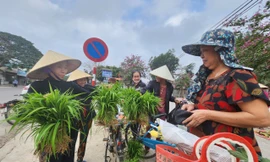 Độc lạ phiên chợ một năm chỉ họp vài ngày ở Nghệ An