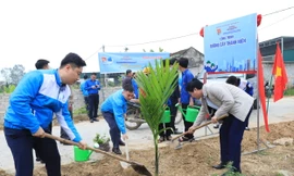 Tuổi trẻ Nghệ An hưởng ứng ngày cao điểm Tình nguyện xây dựng đô thị văn minh