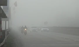 Sương mù giăng kín ở Nghệ An, ô tô xe máy phải bật đèn ban ngày