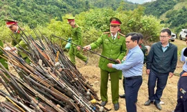 Tiêu hủy gần 1.000 khẩu súng, nòng súng ở huyện biên giới Nghệ An