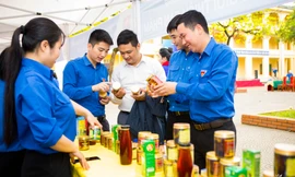 Tuổi trẻ Nghệ An Tháng Thanh niên tình nguyện vì cộng đồng