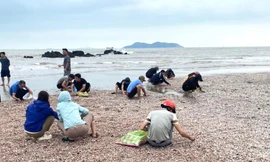 'Lộc biển' dạt vào trắng bờ cát, người dân đua nhau nhặt về ăn