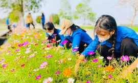 Tuổi trẻ Nghệ An với những phần việc ý nghĩa trị giá hàng tỉ đồng