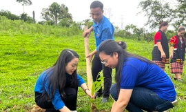 Tặng vườn ươm thanh niên với 15.000 cây giống cho gia đình trẻ miền núi