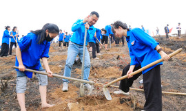 XUÂN ĐẶC BIỆT 2025