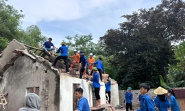 Tuổi trẻ Nghệ An giúp lực lượng thi công đường điện 500kV