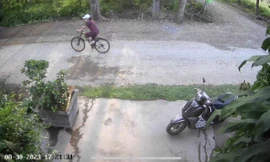 Vụ phát hiện thi thể nguyên Chủ tịch huyện trong bụi cây: Nhận định nguyên nhân ban đầu