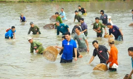 Xuống ruộng nơm cá lấy lộc đầu năm mới