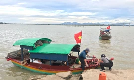 Ngư dân kiếm tiền triệu mỗi ngày nhờ đi bắt thức ăn cho tôm hùm