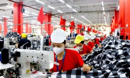 Nghệ An đón ‘lao động tha hương’ về quê làm việc