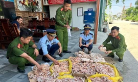 Phát hiện gần nửa tấn chân gà, đuôi lợn không rõ nguồn gốc ở cơ sở thực phẩm sạch