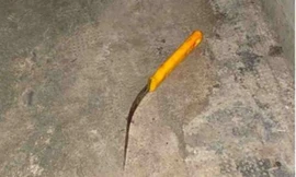 Người phụ nữ bị chồng cũ sát hại trên đường đi làm về 