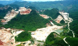 Nhìn từ trên cao những vạt rừng loang lổ ở thủ phủ khoáng sản Quỳ Hợp