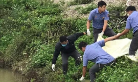 Cụ ông đạp xe băng qua đường ray bị tàu hỏa tông tử vong