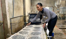 Thợ làng bánh đa xứ Nghệ nhộn nhịp luôn tay dịp Tết