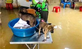 Mưa lớn, nước dâng ngập đường khiến hàng trăm hộ dân bị chia cắt