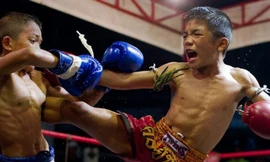 Võ sĩ nhí Thái Lan đẫm mồ hôi đấu võ Muay