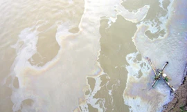 Dầu dạt vào bờ phía phường Phúc Tân