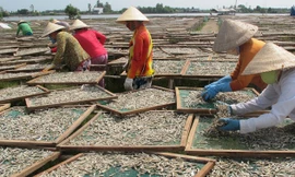 Thị trấn tỷ phú bên bờ biển Tây