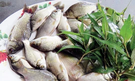 Cá diếc rau răm đậm đà ngon cơm