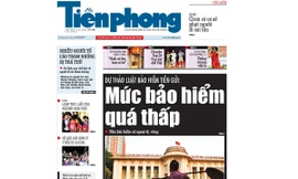 Tin bài đáng chú ý trên nhật báo Tiền Phong số 308