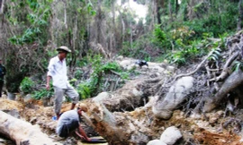 Đình chỉ trưởng công an xã hành hung 2 phóng viên