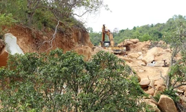 Thuê rẫy giá rẻ để khai thác cát trái phép