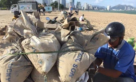 Dân Khánh Hoà đổ xô xúc cát chuẩn bị ứng phó bão số 9