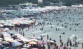 Đón 650.000 lượt khách du lịch