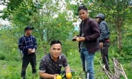 Một góc Farmstay đẹp mê, đầy sức hút với bạn trẻ