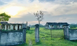 Hoang tàn trạm truyền giống chăn nuôi ở Hà Tĩnh