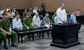 Vụ EVN thiệt hại hơn 1.000 tỷ đồng: Cựu cục trưởng khai báo quanh co, ‘ủn’ trách nhiệm cho cấp phó